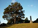 New_Zealand (119)